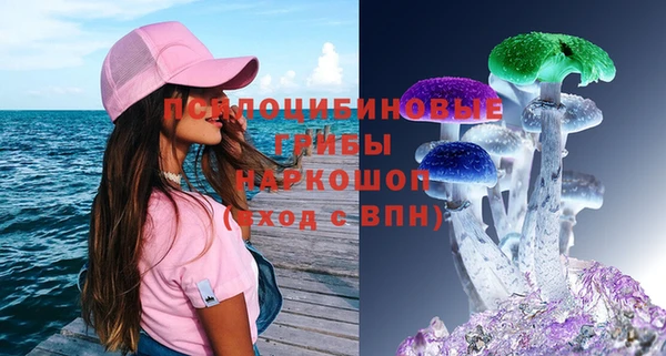 дживик Россошь