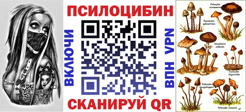 Галлюциногенные грибы Psilocybine cubensis  цены   Красноярск 