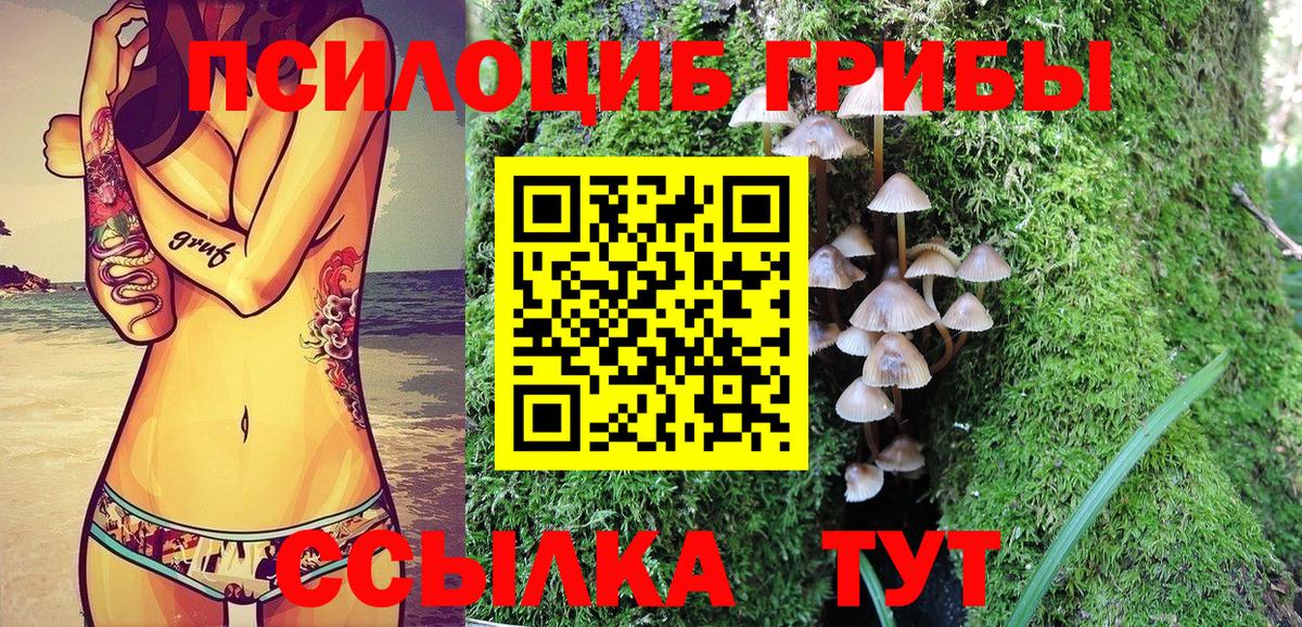 Галлюциногенные грибы ЛСД  Псилоцибиновые грибы мицелий  Красноярск  Вход с VPN 