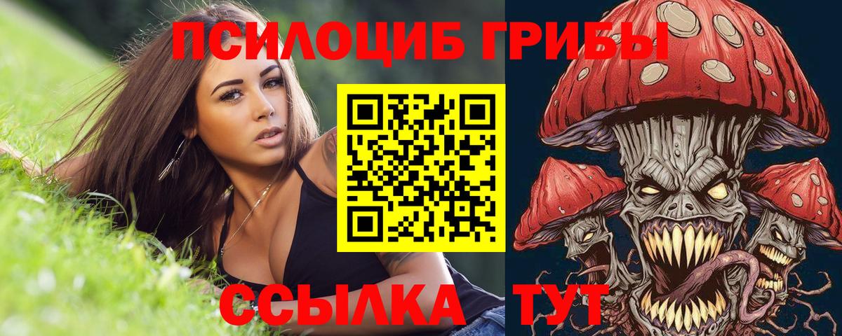 Галлюциногенные грибы Magic Shrooms  Красноярск  Псилоцибиновые грибы Cubensis 