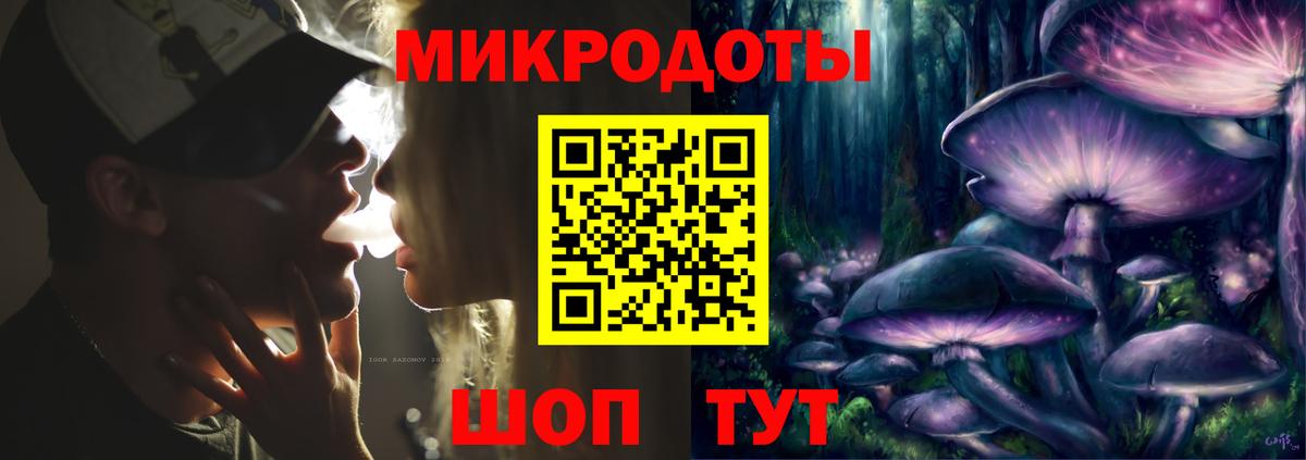 Галлюциногенные грибы Psilocybine cubensis Красноярск