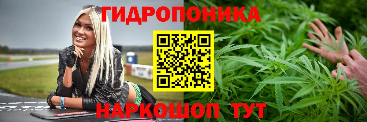 Красноярск  Каннабис план  Вход с VPN  Бошки марихуана LSD WEED 